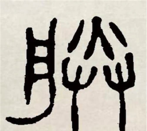 专家|中国共有494位皇帝，为何都用“朕”自称，专家：拆开念就明白了