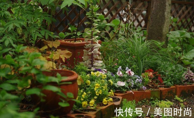 小院|荒废多年的80㎡小院,2年半时间打造成下沉式花园,太漂亮了!