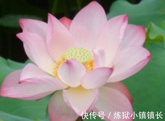 大涨|7月中旬，吉星照耀，4属相财运大涨，升职加薪，日子甜蜜蜜