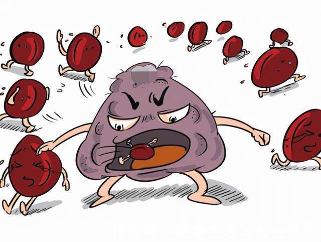 胰腺癌|癌症来临前,身体已经提醒你9次,还是很多人一次次错过了,如何科学预防癌症?