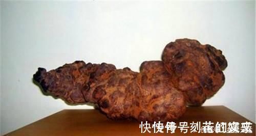 高血压|此物被称为高血压的克星,没事喝一点,平稳血压,还降脂降糖