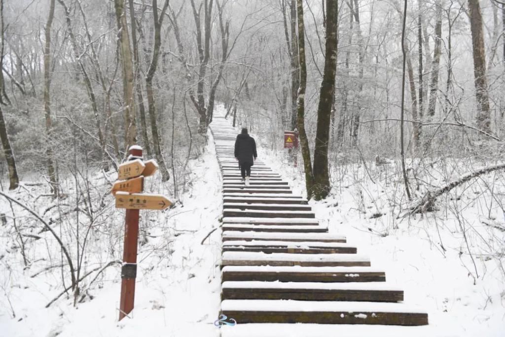 县区|初雪！周边县区雪景美图来袭！