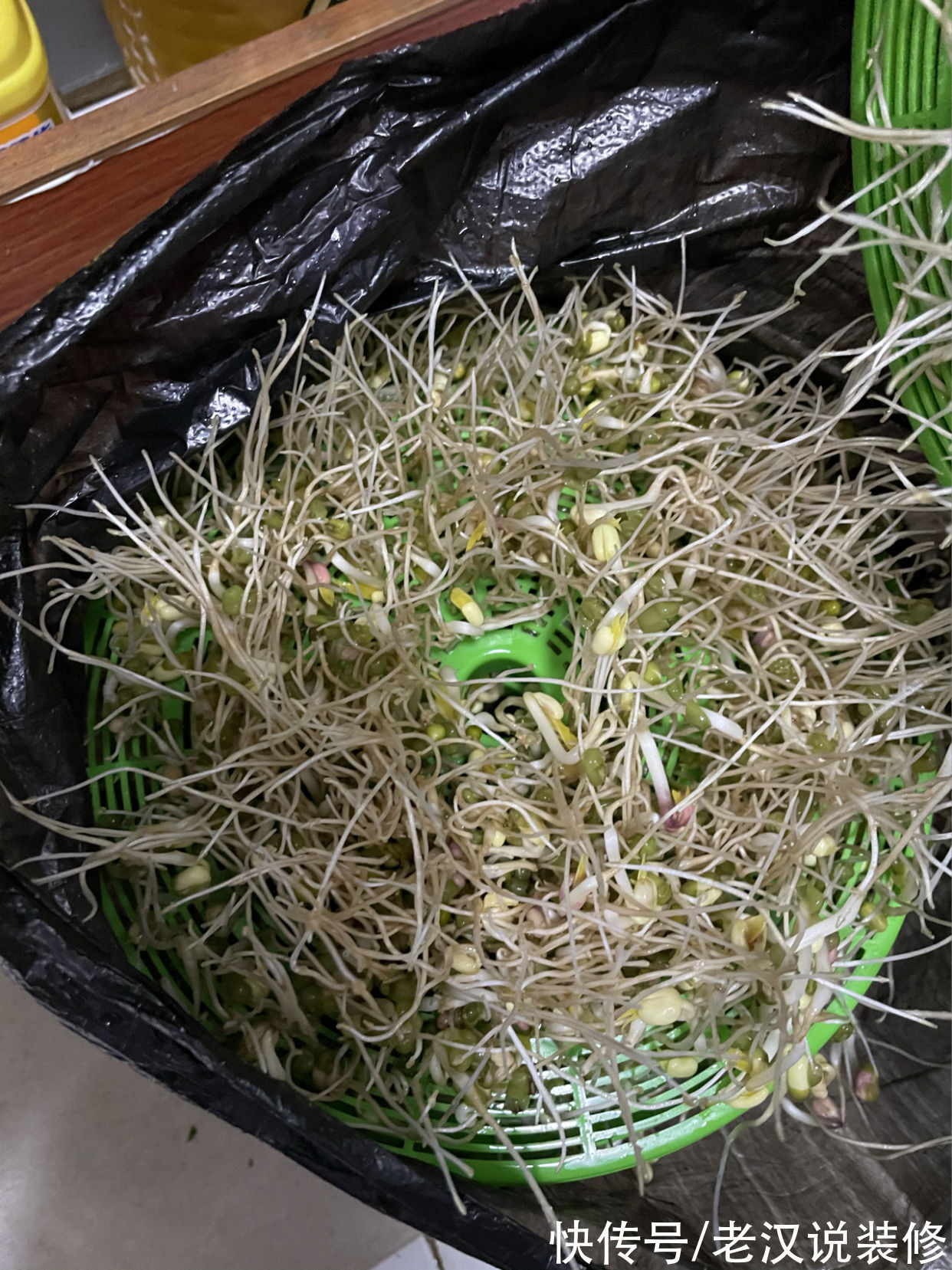 豆芽机|过来人的忠告:这8件家居用品,建议谨慎入手,不实用还积灰
