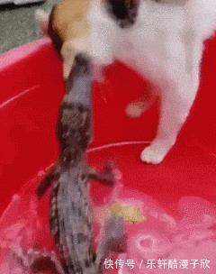 化妆|女人化妆前如何走路,和女人化妆后如何走路,哈哈哈