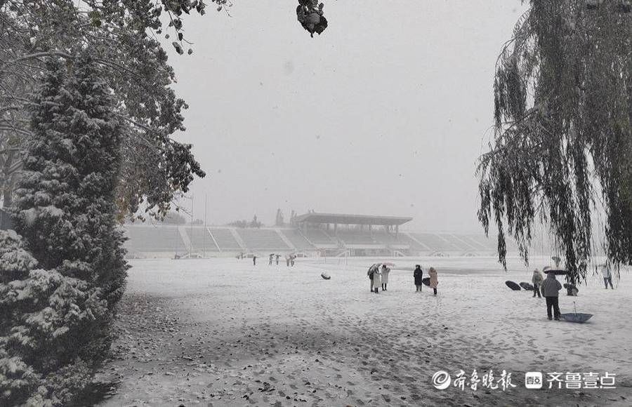 大学生|大雪下的驻济学生：校园里肆无忌惮滚雪球，那是我们的青春啊