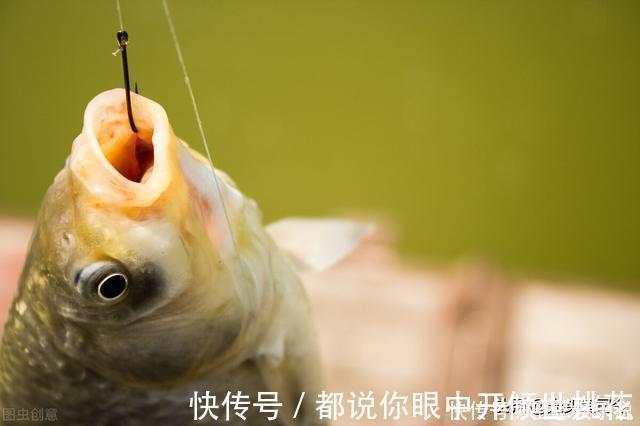 半目|鲫鱼都是送漂?谣言!这7种漂相都是鲫鱼吃钩,看你错过多少鱼