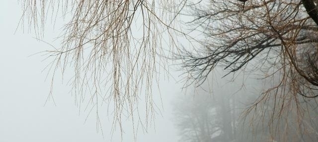 千古名作！王昌龄最著名的一首诗，戳中了多少无知少女的心，成为了千古名作