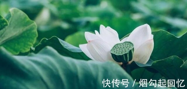 乙木|7月份哪些人的工作事业容易有变动