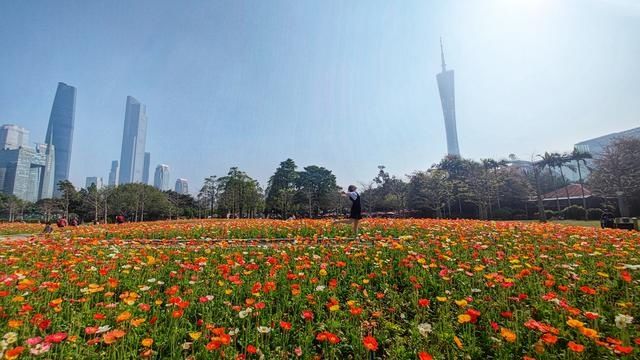 图集｜是春天了！一起听花开的声音