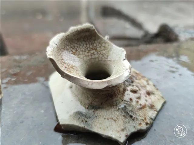 遗址!云南考古重大新发现!镇雄惊现上百亩明清时期青花瓷遗址…