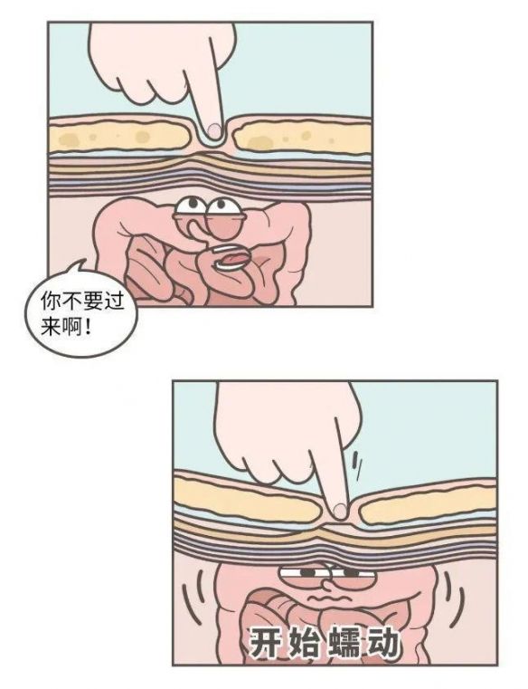 蛤蟆丸|玉兔捣的不是仙草，是蛤蟆丸！奇葩冷知识增加了