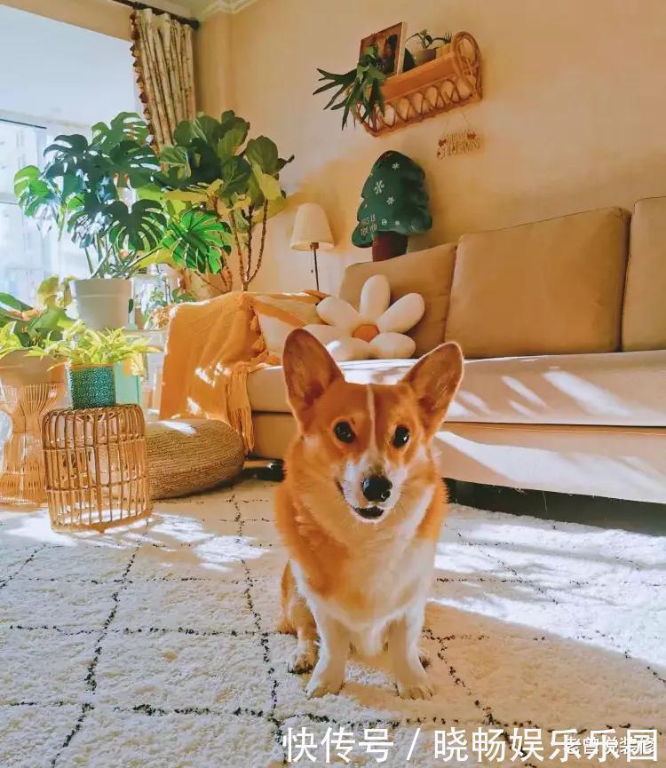 晾衣杆|晒晒我家最后悔的8个家居决定,看着“高大上”,实际很“鸡肋”