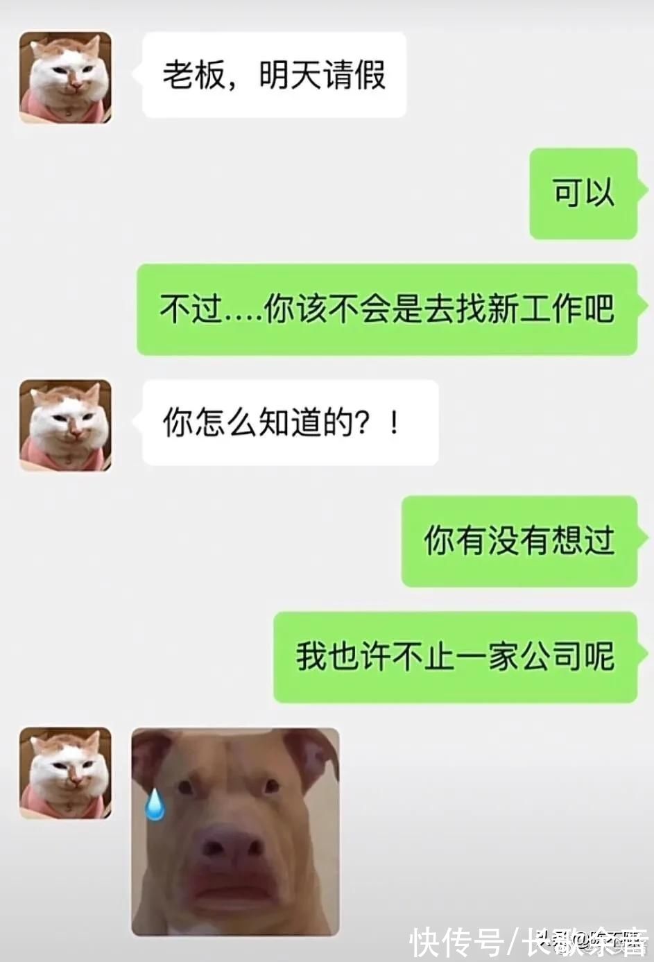 |搞笑：老鼠的口味是越来越刁了