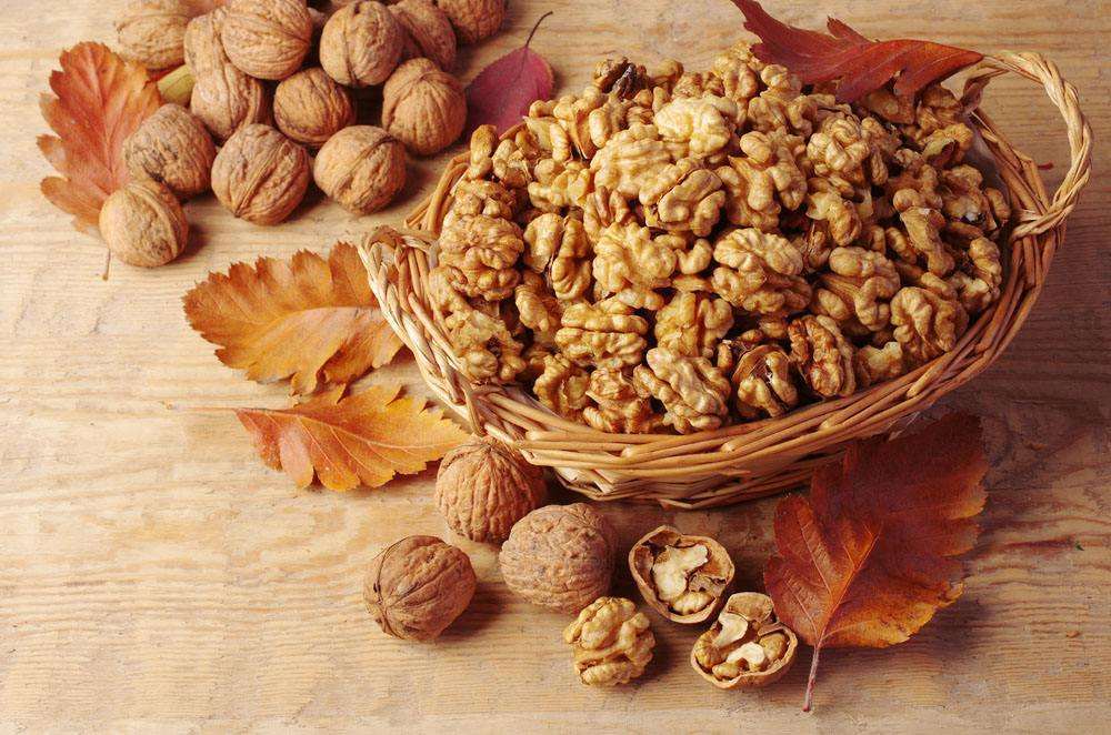 核桃仁|两味药,锁住“脾精”!一张小方子,补阳+健脾,留住生命精华