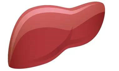 胃火|体内上火了,别轻易服药,不管哪的火,吃它就可以!