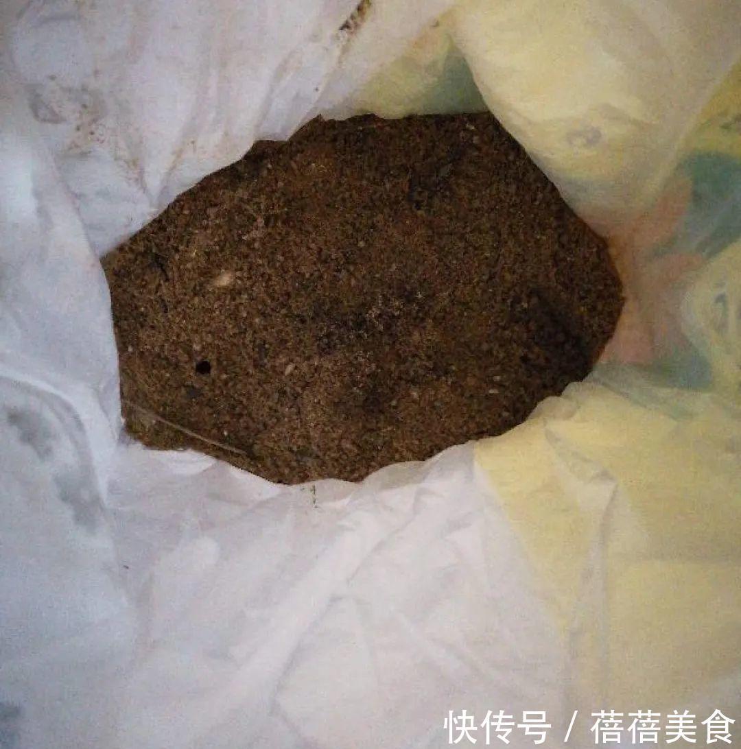 养君子兰就得学会6要点,叶子绿油亮,开花多又大