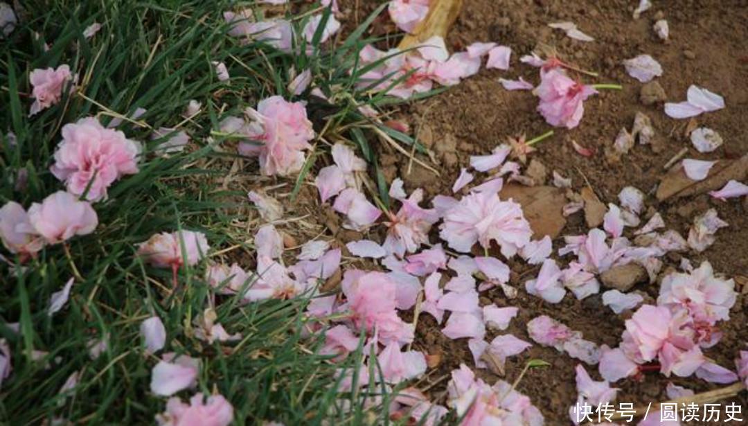 花瓣|李商隐的诗常常引用典故,只有这首《落花》,全诗纯用白描的手法