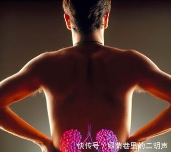 3个小方法养好两颗肾,不花钱就能做,转发给需要的人