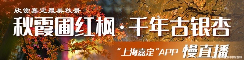 城市|这里新增一处“城市客厅”