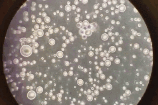 倍儿棒|为啥吃母乳的宝宝体格“倍儿棒”?母乳具备的优点,奶粉难模仿