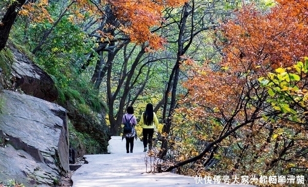 平顶山|河南唯一可媲美云台山的4A景区，山水似云台山，在平顶山你去过吗