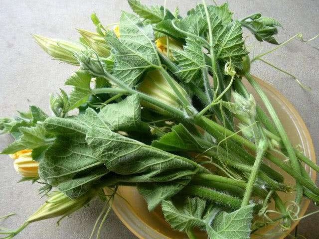 藤汁|一瓜藤,农村人吃厌了,城里人拼命吃,能治胃痛、去结石、降血压