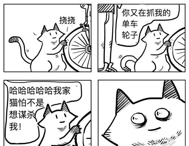 扎心|漫画：8个养猫的扎心瞬间，看完泪崩。