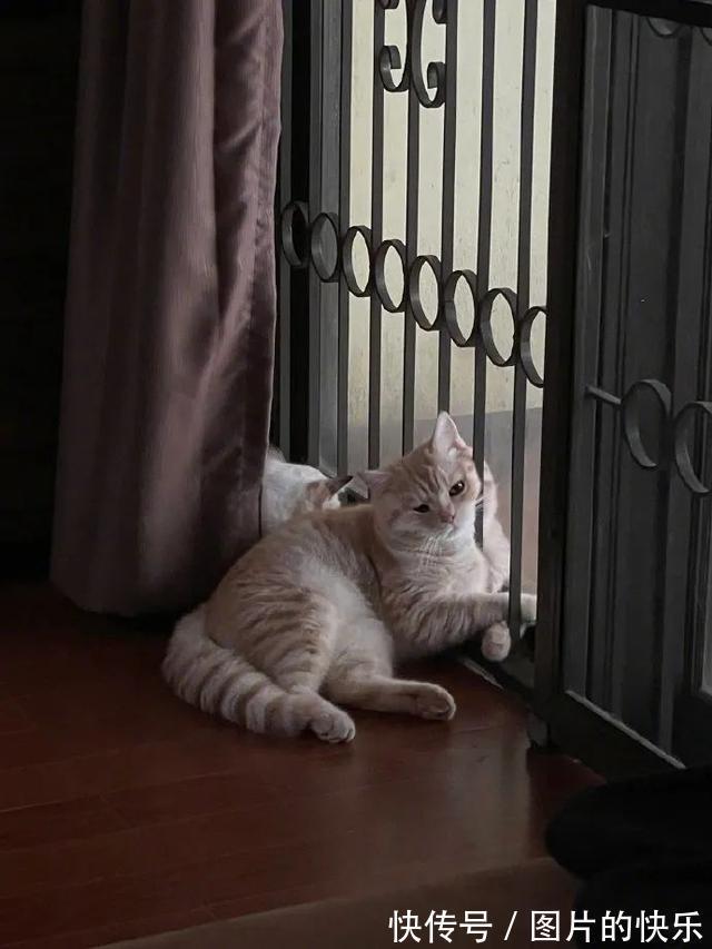 |当你卖掉了前任送的东西  冷段子1805