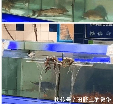 |搞笑趣图GIF:天然山泉水,纯净无污染,只是味道有点咸