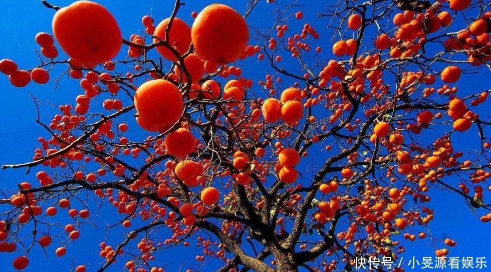 蓟州|有一种童年回忆,叫做去蓟州赶集!你多久没赶过大集了?