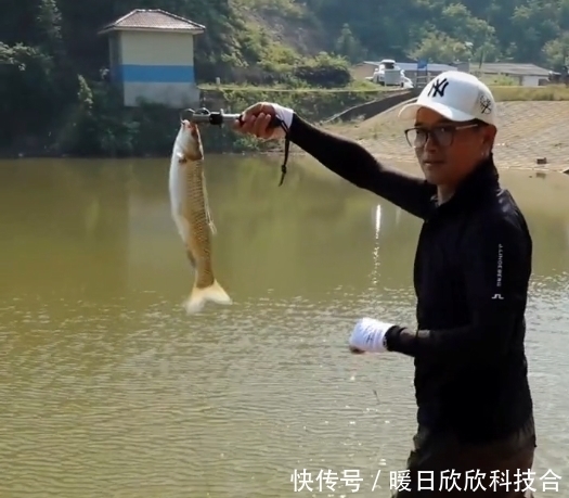 邓刚|邓刚到长沙钓鲢鳙,看上了老板养的小土狗,400钓6小时,差点滑了