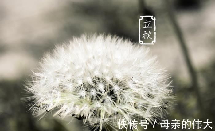 营养|立秋到，吃三宝，滋补润燥又营养，三宝分别是哪三宝