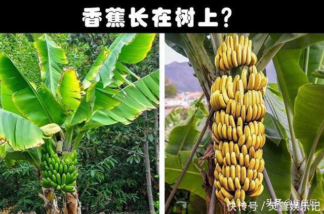 很多人从小就在盲目相信着的8种错误常识