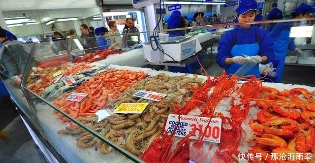 听说澳大利亚是个不会钓鱼都能钓上来鱼的地方,果然钓爆了