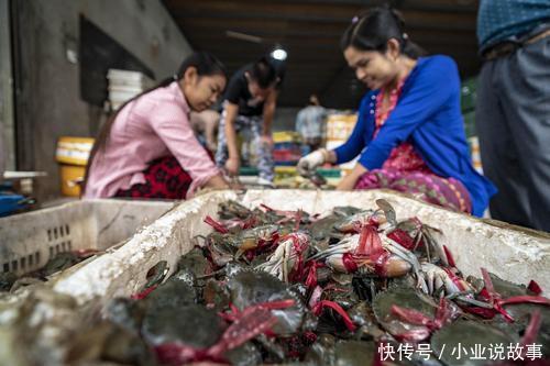 螃蟹泛滥,随手一捞就几十斤,印度网友我觉得可以便宜卖给邻国