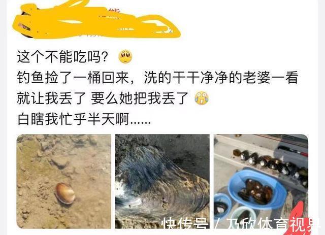腥味|水库干涸大量“河鲜”搁浅淤泥，钓友捡回来一桶，这能吃？