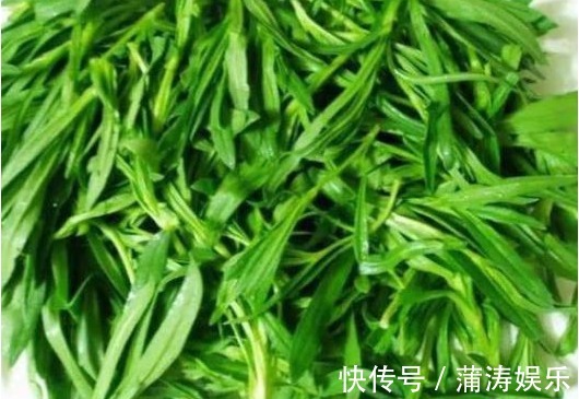 农村|这种野菜在农村很常见,它是高维营养菜,药用价值让你想不到!