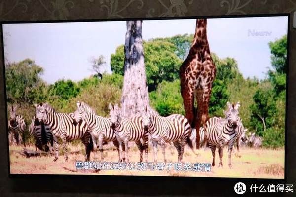 k9|老房改造日记·客厅休闲篇之OPPO K9电视