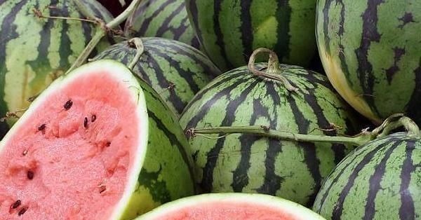 柿子|医生从不吃的4种水果,再馋也要忍住,越吃”湿气“越重