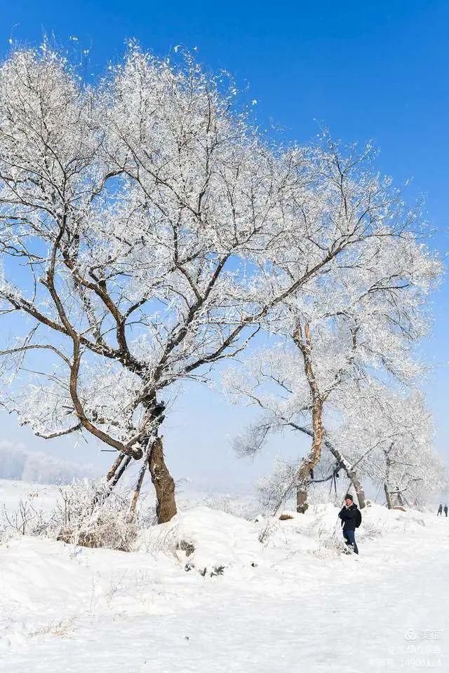 童话|冰天雪地，童话吉林