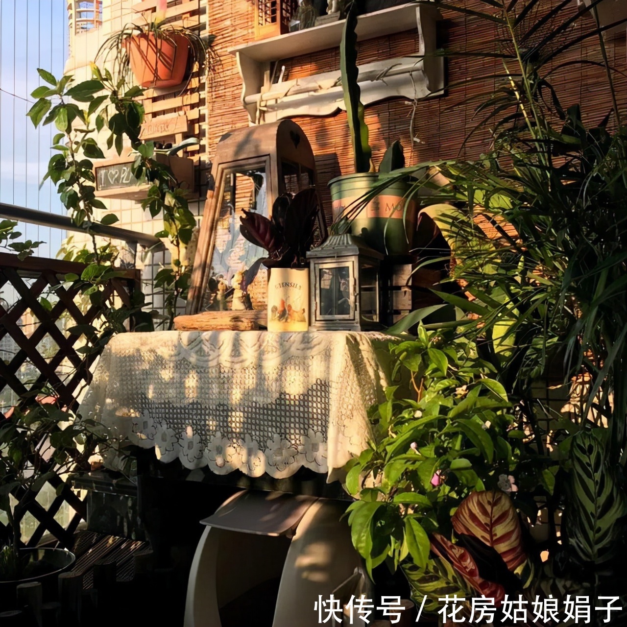 扶芳藤|把阳台打造成自己喜欢的小花房，需要从这些方面去做，就能拥有它