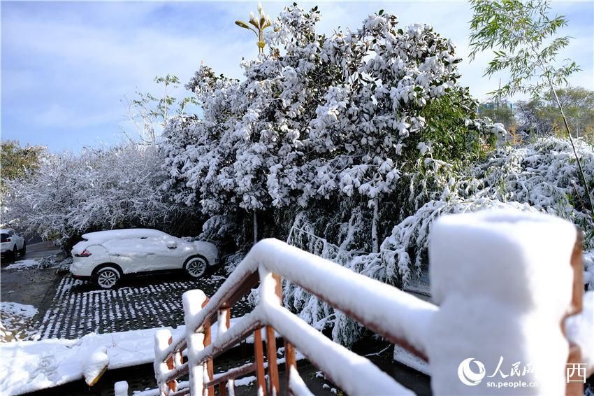 初雪|古城西安迎初雪