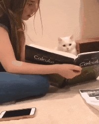 |搞笑GIF趣图:妹子get到一个好技能,不用美颜也能拍出美照