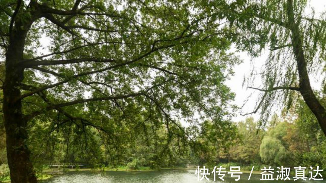 秋天!宋朝诗人刘敞一首很美的咏雨诗,每一句都如诗如画,值得我们一读