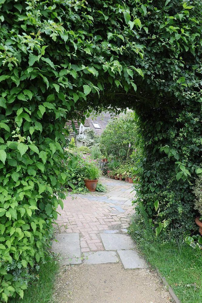  看完这个，想把家里花盆丢了