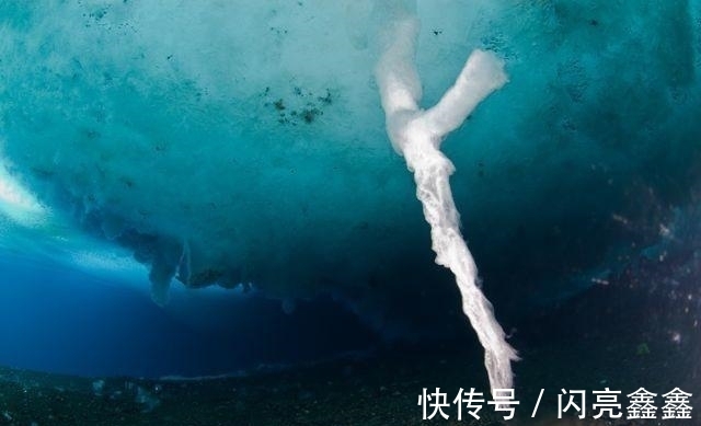 海贼王|海贼王中大将青雉的绝招,“冰河时代”竟然在现实中也存在!