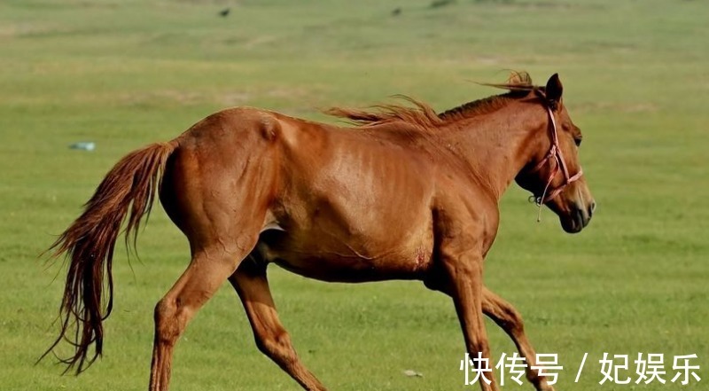 丈夫|三个肯陪丈夫吃苦的生肖女，不计回报的付出，最终收获幸福