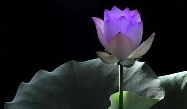 孔夫子@人生在世有三忌,碰见就躲,不要高估自己的能力