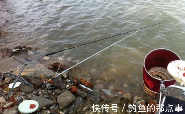 早春钓鲫,钓友记住这4点,保证你一钓一个准,鲫鱼一顿狂拉