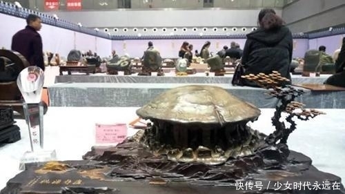  博览会|第十届中国万石博览会二十万成交的奇石，为什么不是获奖十大奇石